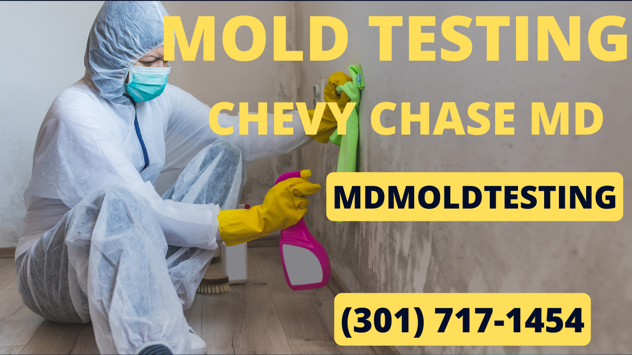 Mold Testing chevy chase maryland